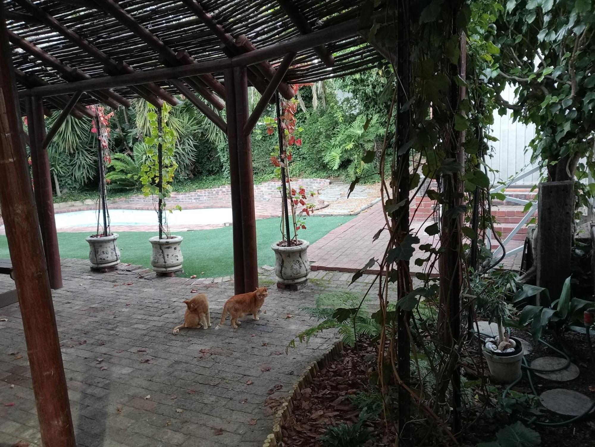 Marinda'S B&B Kapsztad Zewnętrze zdjęcie